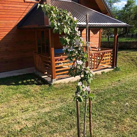 Milekic * 莫克拉戈拉